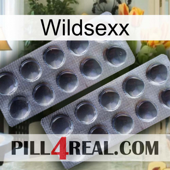 Wildsexx 31